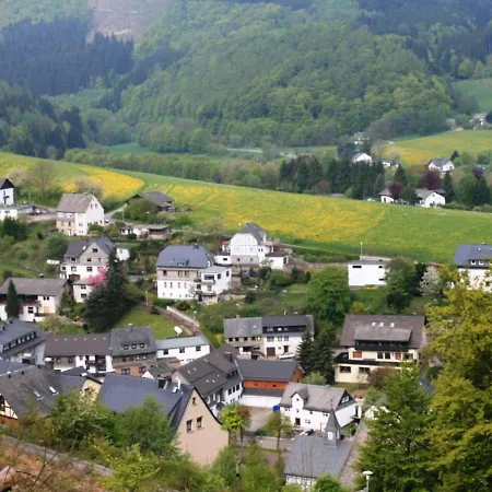 Helle Bei Mit Terrasse Apartment Willingen (Upland)