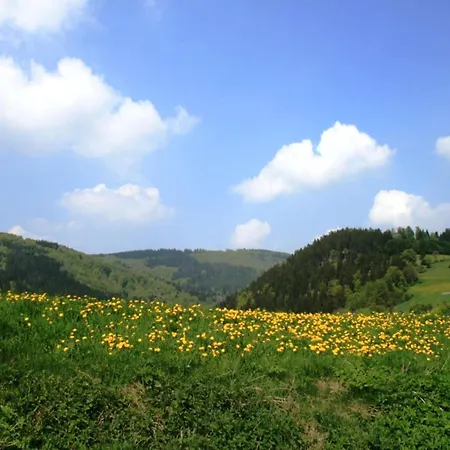 Apartman Bright And Spacious Flat In Schwalefeld Near With Private Terrace Willingen