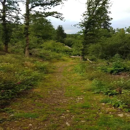 Apartment Helle Bei Mit Terrasse Willingen (Upland)