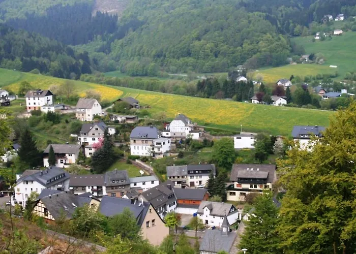 Helle Bei Mit Terrasse Διαμέρισμα Willingen (Upland)