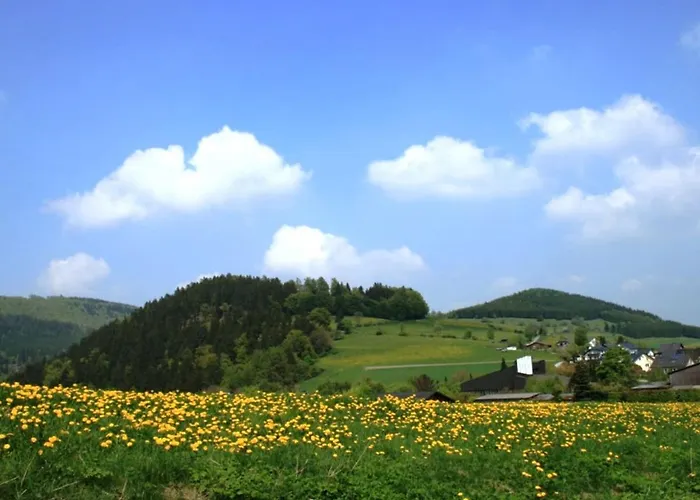 Helle Bei Mit Terrasse