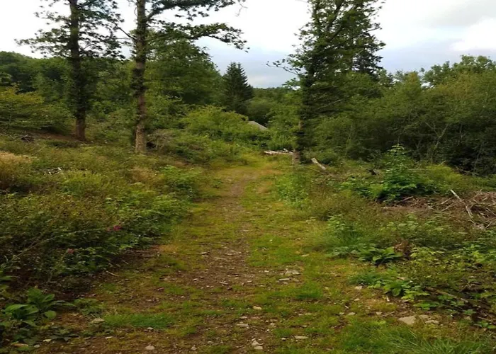 Διαμέρισμα Helle Bei Mit Terrasse Willingen (Upland)